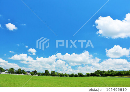 夏の青空と新緑の公園風景 105496610
