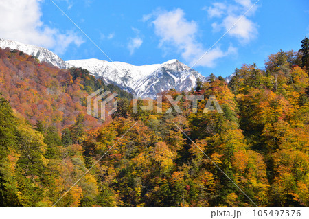 秋 北アルプス連峰 唐松岳 黒部峡谷より 秋 北アルプス連峰 唐松岳 黒部峡谷より 105497376