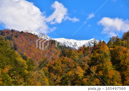 秋 北アルプス連峰 唐松岳 黒部峡谷より 秋 北アルプス連峰 唐松岳 黒部峡谷より 105497560