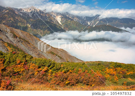 白馬八方尾根の紅葉と雲海 白馬八方尾根の紅葉と雲海 105497832