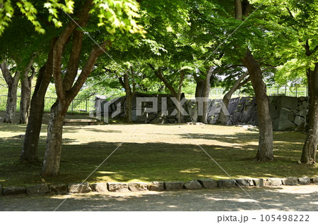 春の盛岡 岩手公園 105498222