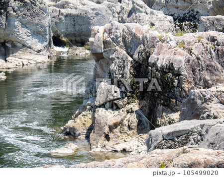 夏の闘竜灘(兵庫県加東市内)。加古川中流の景勝地。 105499020