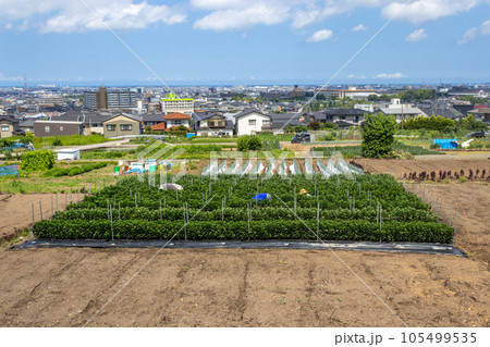 View of Kanazawa city from Daijouji Hill Park, Japan. 105499535