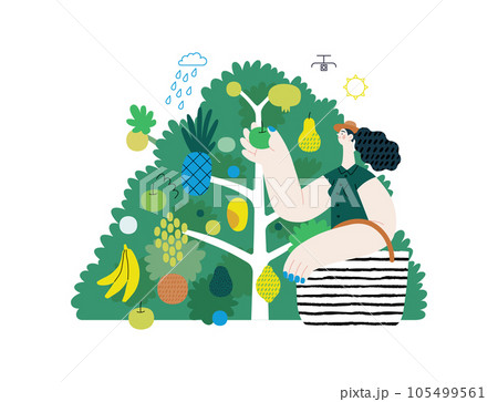 Greenery, ecology -modern flat vector concept illustration of a woman gathering fruit from the 40 fruit tree. Metaphor of environmental sustainability and protection, closeness to nature Greenery, ecology -modern flat vector concept illustration of a woman gathering fruit from the 40 fruit tree. Metaphor of environmental sustainability and protection, closeness to nature 105499561