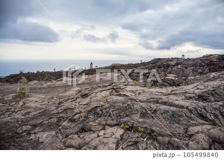 ハワイ島 チェーン・オブ・クレーターズ・ロード脇の溶岩台地 ハワイ島 チェーン・オブ・クレーターズ・ロード脇の溶岩台地 105499840