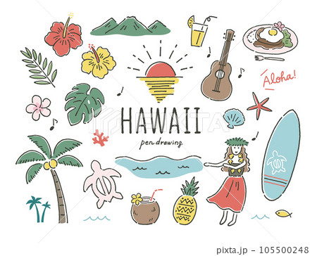 ハワイ南国ペン画カラー 105500248