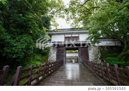 新緑に包まれた飫肥城 新緑に包まれた飫肥城 105501583