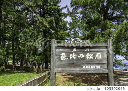 敦賀 気比の松原 福井県敦賀市 敦賀 気比の松原 福井県敦賀市 105502046