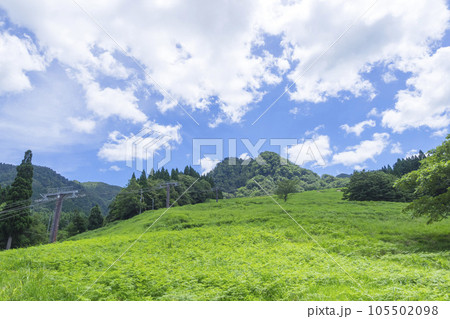 夏の若桜氷ノ山スキー場 鳥取県 氷ノ山スキー場 105502098