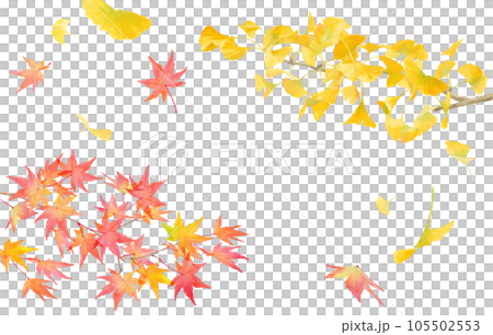 黄色に色づいたイチョウと赤く色づいたモミジの水彩イラスト。秋の装飾(ベクター。レイアウト変更可能) 黄色に色づいたイチョウと赤く色づいたモミジの水彩イラスト。秋の装飾(ベクター。レイアウト変更可能) 105502553