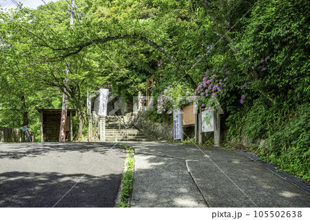 敦賀　金崎宮　参道　福井県敦賀市 105502638