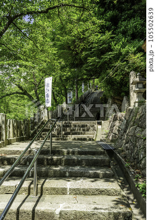 敦賀　金崎宮　参道　福井県敦賀市 105502639