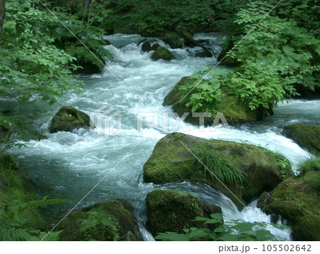 青森県観光 奥入瀬渓流 青森県観光 奥入瀬渓流 105502642