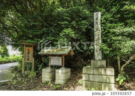 敦賀　金ヶ崎城跡　福井県敦賀市 105502657