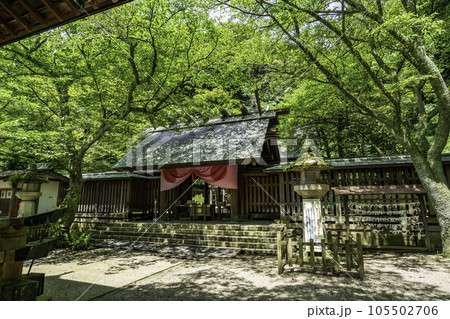 敦賀　金崎宮　神門と本殿　福井県敦賀市 105502706