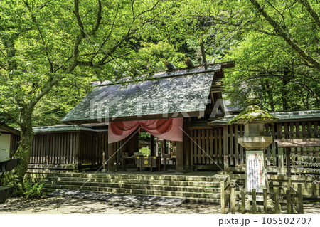 敦賀　金崎宮　神門と本殿　福井県敦賀市 105502707