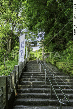 敦賀　金崎宮　鳥居　福井県敦賀市 105502751