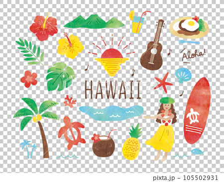 ハワイ水彩色々 105502931