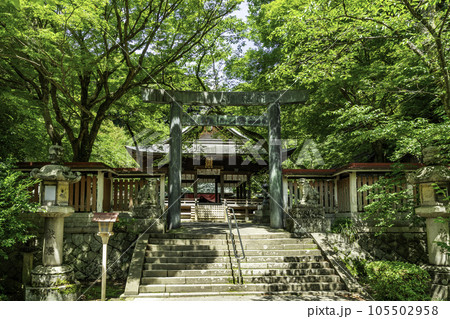 敦賀　金崎宮　拝殿　福井県敦賀市 105502958