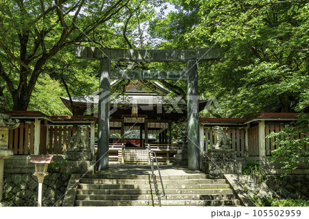 敦賀　金崎宮　拝殿　福井県敦賀市 105502959