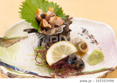 美味しいサザエの刺身 美味しいサザエの刺身 105503496