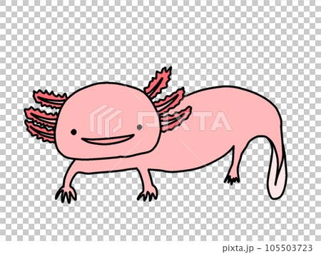 wooper looper wooper looper 105503723
