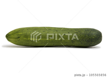 A cucumber isolated on a white background. 105503856