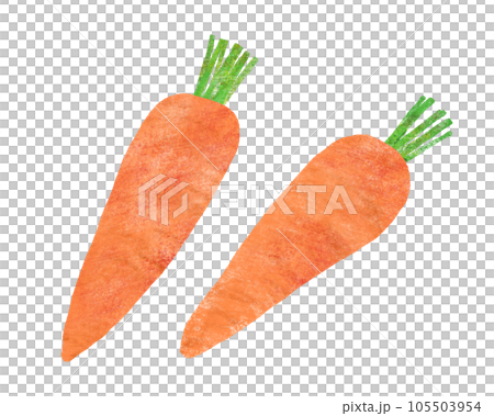 胡蘿蔔手繪插畫 105503954