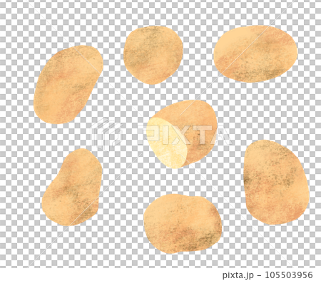 手繪土豆插畫 105503956