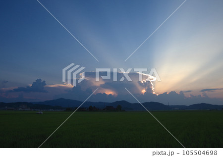 夏の夕暮れの空 105504698