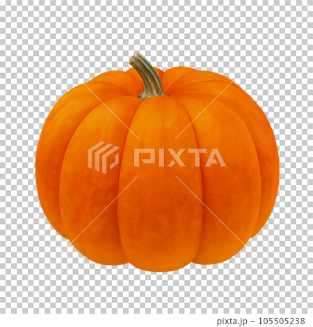 Halloween pumpkin illustration real Halloween pumpkin illustration real 105505238
