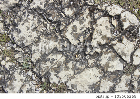 Rocky path Rocky path 105506269