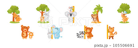 Funny Animals Measuring and Comparing Heights Vector Set Funny Animals Measuring and Comparing Heights Vector Set 105506691