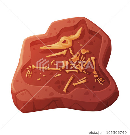 Fossil Obtained by Digging Rested in Soil or Ground Vector Illustration 105506749