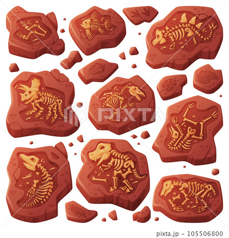 Fossils Obtained by Digging Rested in Soil or Ground Vector Set Fossils Obtained by Digging Rested in Soil or Ground Vector Set 105506800
