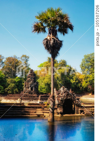 High-definition image showcasing a tall palm tree emerging from the muddy waters of the sacred Cambodian lake, Neak Pean. High-definition image showcasing a tall palm tree emerging from the muddy waters of the sacred Cambodian lake, Neak Pean. 105507206