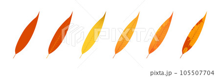 Withered autumn motley leaves. Fallen leaves with variegated texture 105507704