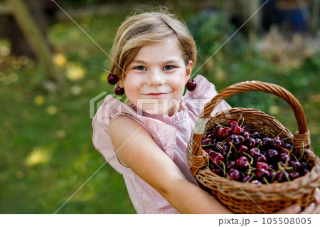 Beautiful girl in the garden. Happy girl with cherries. Preschol child with basket full of ripe berries and fun cherry earrings. 105508005