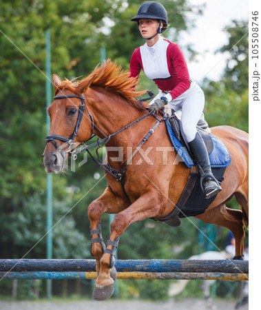Young woman riding horseback jumping over the hurdle on showjumping course 105508746