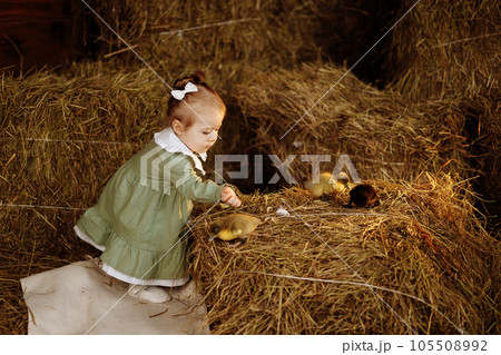 Small child with ducks Small child with ducks 105508992