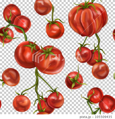 Seamless hand drawn pattern with red tomatoes and cherry tomatoes. Vegetable background for textiles, fabrics, banner, wrapping paper, and other designs. Digital illustration on white background 105509435