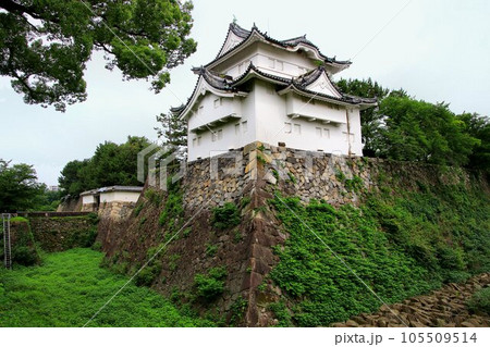 金鯱が天守を飾る… 天下の名城『名古屋城』 金鯱が天守を飾る… 天下の名城『名古屋城』 105509514