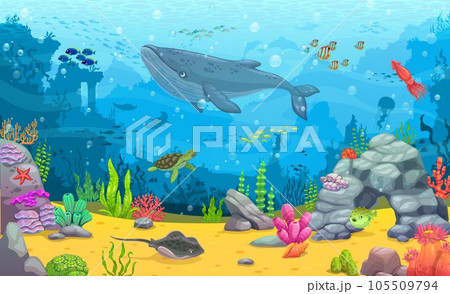 Cartoon underwater landscape. Blue whale, fish shoals and sea animals between seaweeds. Vector background for game or wallpaper with turtle, stingray, puffer fish and squid at seafloor with ruins Cartoon underwater landscape. Blue whale, fish shoals and sea animals between seaweeds. Vector background for game or wallpaper with turtle, stingray, puffer fish and squid at seafloor with ruins 105509794