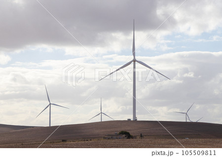 Wind Power Turbines Towering Over Rural Farmland 105509811