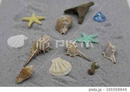 浜辺 浜辺 105509949