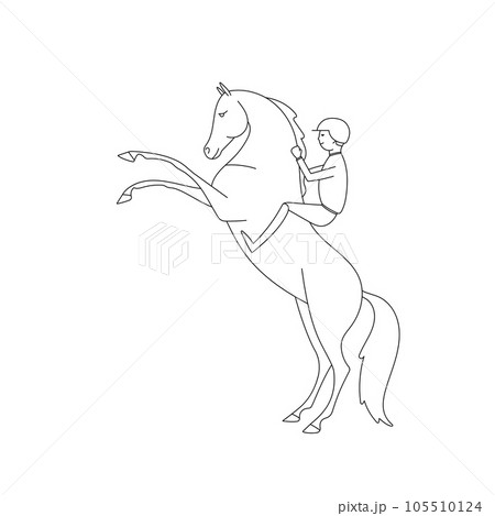 Young rider on a horse.  105510124
