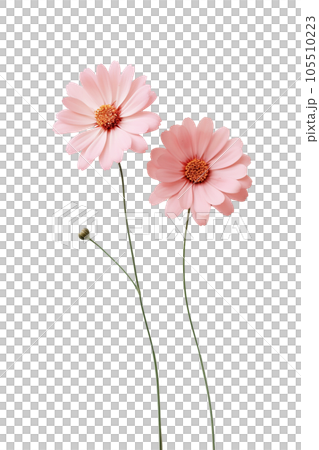 Cute pink flowers isolated Cute pink flowers isolated 105510223