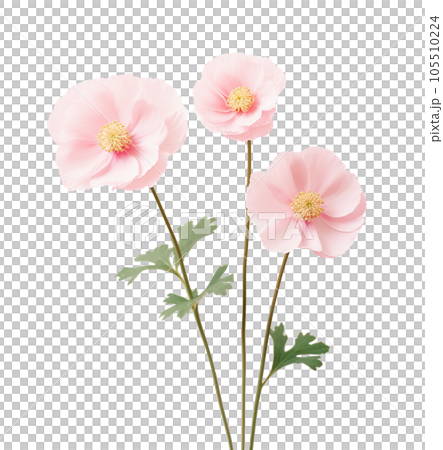 Cute pink flowers isolated Cute pink flowers isolated 105510224