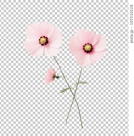 Cute pink flowers isolated Cute pink flowers isolated 105510228