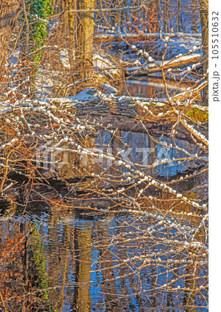 Image of a small river course in a forest with reflections 105510632